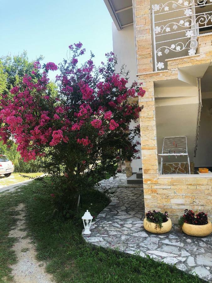 Vila Jovana Sutomore Exterior photo